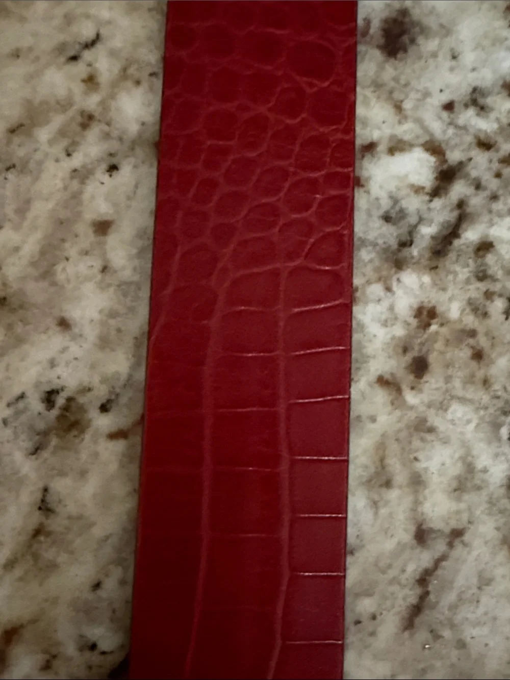 rag & bone Boyfriend Belt Leather Rouge Croc-Embossed w/Textured Silver Buckle M